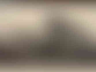 Musée des Avelines - Exposition "Saint-Cloud dans les nuages"