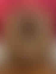 Château de Compiègne            Oise