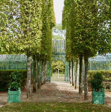 Petit Théâtre de la reine       Petit Trianon                                         Château de Versailles                         Photos