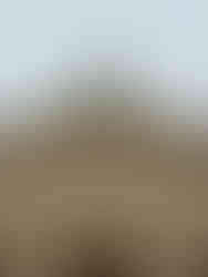 Lycée Hoche, Versailles - ancien couvent de la reine