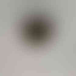 Méreau des tailleurs de robe avec des ciseaux, Crypte archéologique de l'île de la Cité à Paris, exposition Dans la Seine, parvis Notre-Dame de Paris