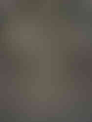 Marie-Antoinette Style - V&A