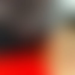 Simone Veil. Mes soeurs et moi - Mémorial de la Shoah