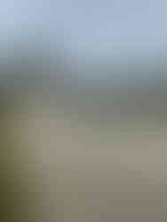 Château de La Motte Tilly