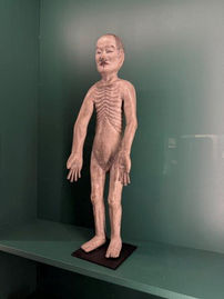 Croire et Guérir, Musée d'Art et d'Histoire Paul Eluard, Saint-Denis