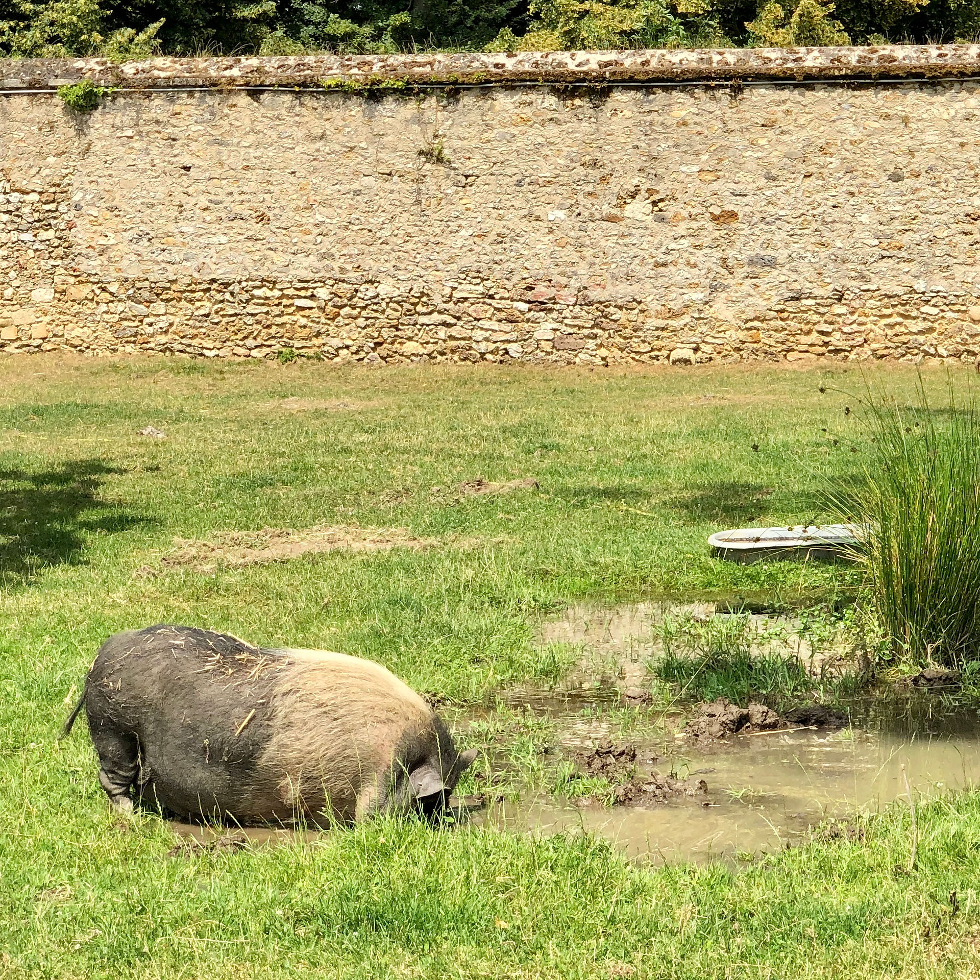  Hameau de la reine                 Château de Versailles
