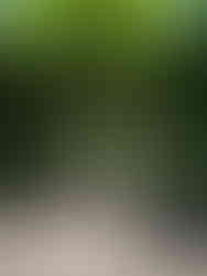 Château de Compiègne                   Oise