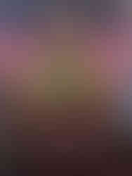 Château de Compiègne                   Oise