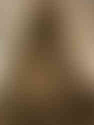 Nasse de pêcheur 1er siècle, Crypte archéologique de l'île de la Cité à Paris, exposition Dans la Seine, parvis Notre-Dame de Paris