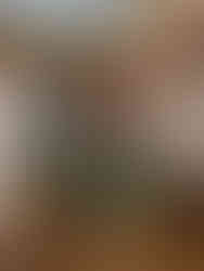 Château de Compiègne            Oise