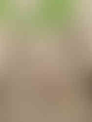 Musée de Montmartre