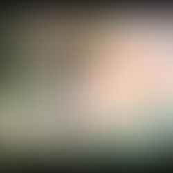 Exposition "Trésors et coulisses" au château de Sceaux