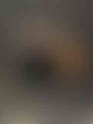 Exposition "1925-2025. Cent ans d'Art déco" au MAD Paris