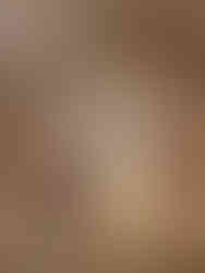 Palais Neuf, Narbonne, Orientaliste