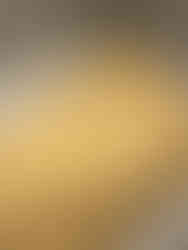 Moulage défense de Mammouth, Crypte archéologique de l'île de la Cité à Paris, exposition Dans la Seine, parvis Notre-Dame de Paris