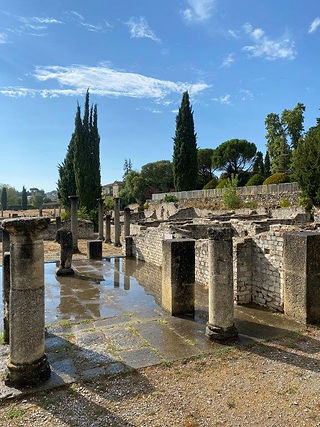 Site antique Vaison la Romaine