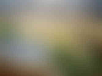 Ecole de Paris, Musée de Montmartre