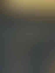 Exposition "1925-2025. Cent ans d'Art déco" au MAD Paris