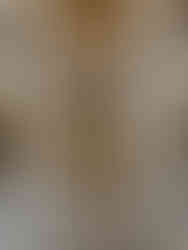 Château de Versailles