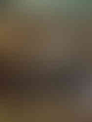 Exposition "Trésors et coulisses" au château de Sceaux