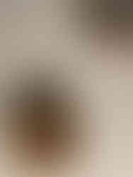 Silex, Crypte archéologique de l'île de la Cité à Paris, exposition Dans la Seine, parvisNotre-Dame de Paris