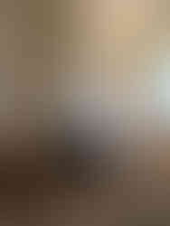 Château de Compiègne             Oise