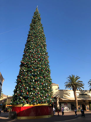 Sapin de Noël