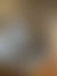 Château de Compiègne             Oise