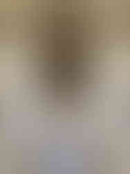 Château de Compiègne                   Oise