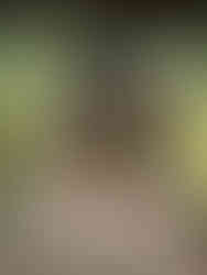 Exposition "La mode du 18e siècle", Palais Galliera