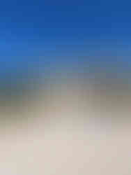 Acropole Athènes vue de l'entrée