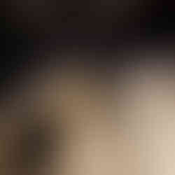 Crypte archéologique de Paris île de la Cité, Notre-Dame de Paris