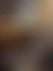 Exposition "Une Journée au XVIIIe siècle", MAD Paris