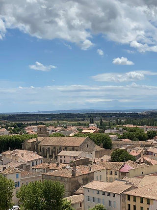 Narbonne vue du Donjon Gilles Aycelin
