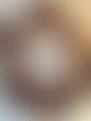 Maison des Jardies, Sèvres