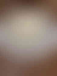 Exposition "Trésors et coulisses" au château de Sceaux