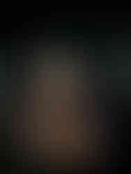 Exposition "Le Dernier Sacre"