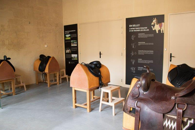 Grandes Ecuries, Musée Cheval      château de Chantillyes Ecuries, Musée Cheval 