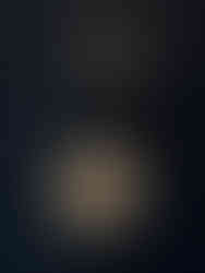 Exposition "1925-2025. Cent ans d'Art déco" au MAD Paris