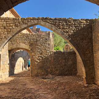 Abbaye du Thoronet                Var
