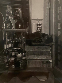 Agnès Varda - Musée Carnavalet