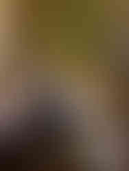 Château de Compiègne