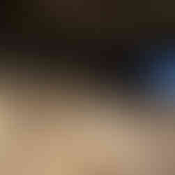 Crypte archéologique de Paris île de la Cité, Notre-Dame de Paris