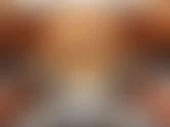 Musée des Avelines - Exposition "Saint-Cloud dans les nuages"