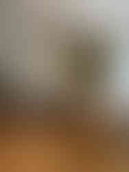 Château de Compiègne            Oise