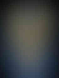 Exposition "Joyaux Dynastiques"