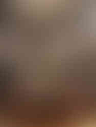 Château de Compiègne            Oise