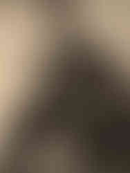 Exposition Calder, Fondation Louis Vuitton