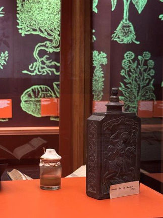 Croire et Guérir, Musée d'Art et d'Histoire Paul Eluard, Saint-Denis