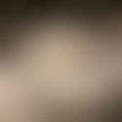 Crypte archéologique de Paris île de la Cité, Notre-Dame de Paris